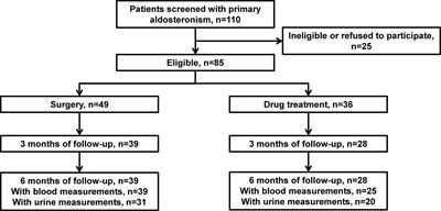 A Prospective Comparative Study on Cardiac Alterations After Surgery and Drug Treatment of Primary Aldosteronism